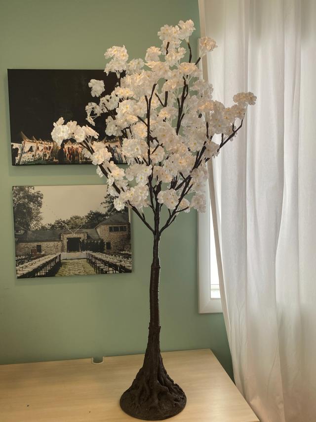 Rental store for PAIR OF ILLUMINATED TREES in Grand Haven MI